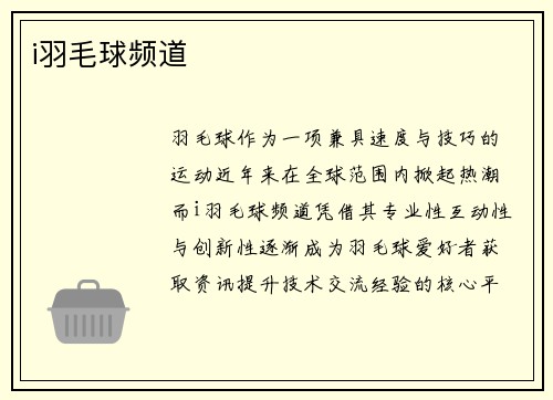 i羽毛球频道