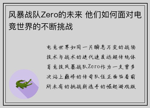 风暴战队Zero的未来 他们如何面对电竞世界的不断挑战