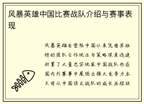 风暴英雄中国比赛战队介绍与赛事表现