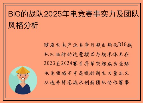 BIG的战队2025年电竞赛事实力及团队风格分析